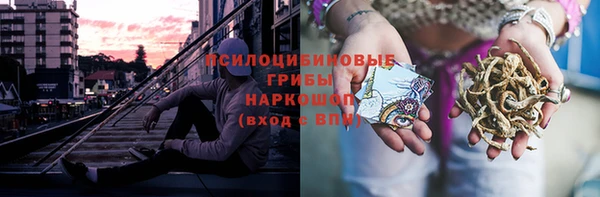 ПСИЛОЦИБИНОВЫЕ ГРИБЫ Ладушкин