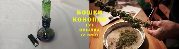 ПСИЛОЦИБИНОВЫЕ ГРИБЫ Ладушкин