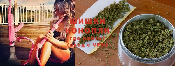 амф Лабытнанги