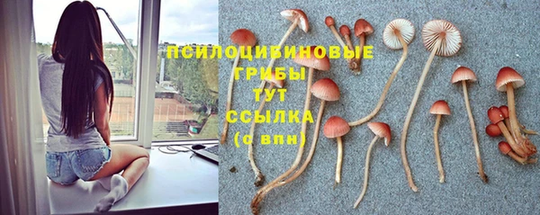 ALPHA-PVP Невель