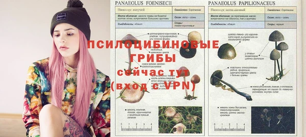 первитин Липки