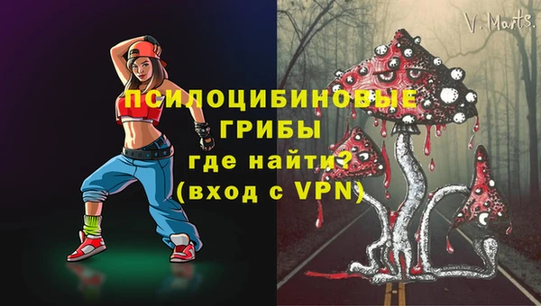 МДПВ Лихославль