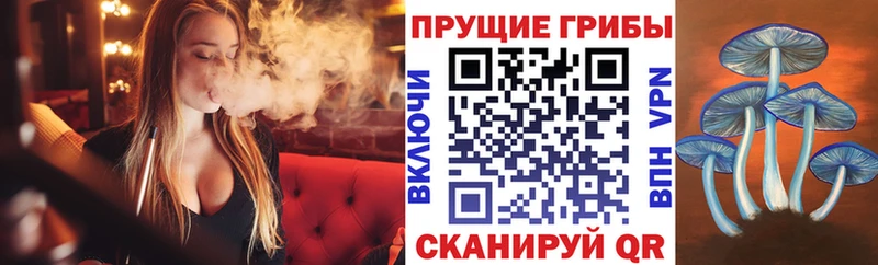 Галлюциногенные грибы мухоморы  Урень 
